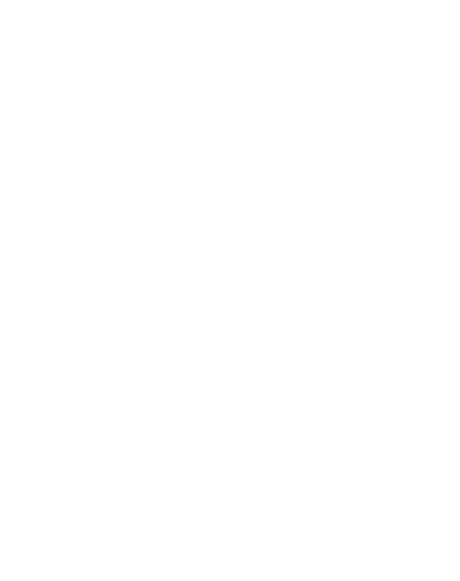 An invoice icon